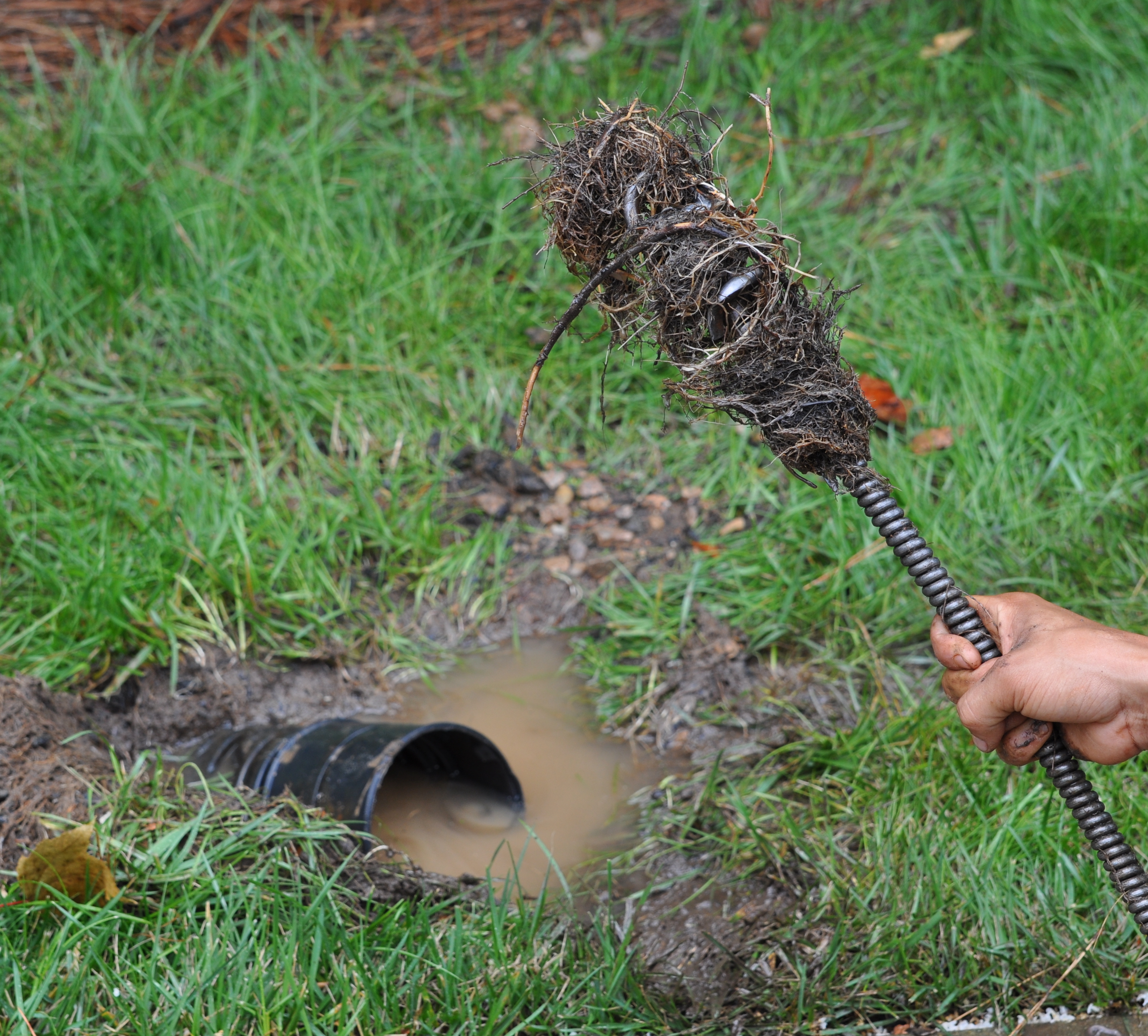 Drain Clearing